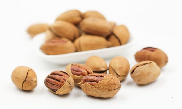 Nuts: A Health Food If Used Right