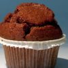 Gluten Free Pumpkin Muffins with Buckwheat